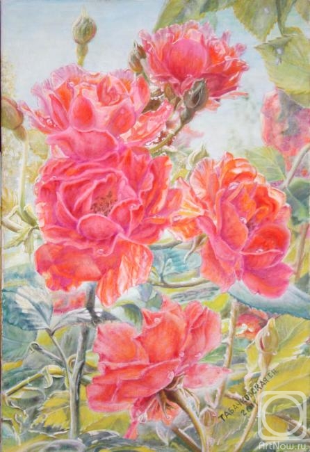 Kudryashov Galina. Roses