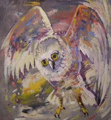 Owl (Micrathene whitneyi). Gerasimov Vladimir