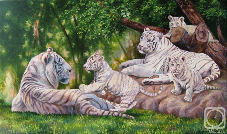 Самарская Елена. Семья белых тигров