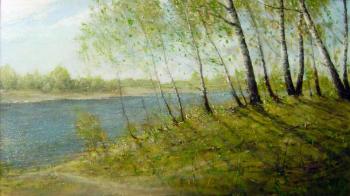 Irtysh River. Anabranch. Korytov Sergey