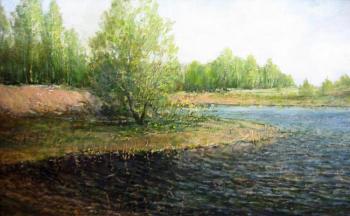 Small lake for a concrete road under the Omsk