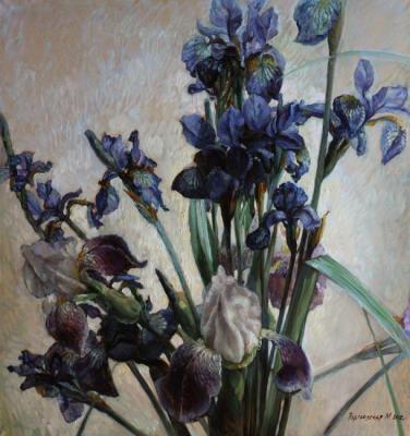 Blue irises on a white