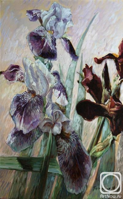 Podgaevskaya Marina. Winter irises