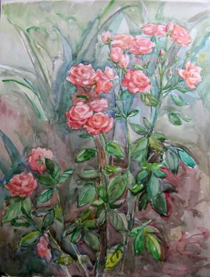 The roses. Kruppa Natalia
