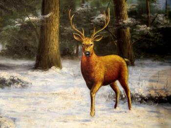 Deer. Minaev Sergey