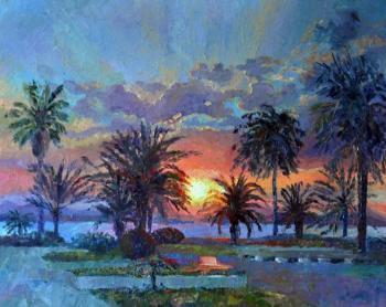 Sunset in Hammamet. Tunis