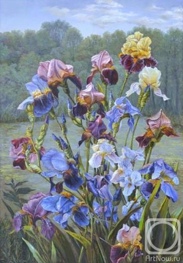 Panov Eduard. Irises by the pond