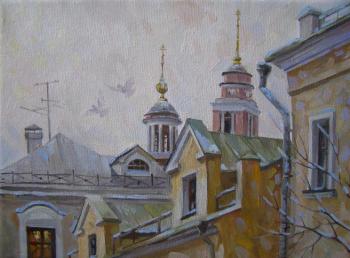 Moscow. Moscow roofs (Veshnyakovsky Lane)