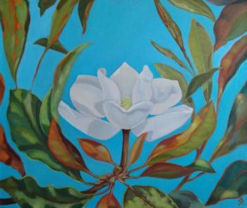Magnolia at the turquoise. Himich Alla