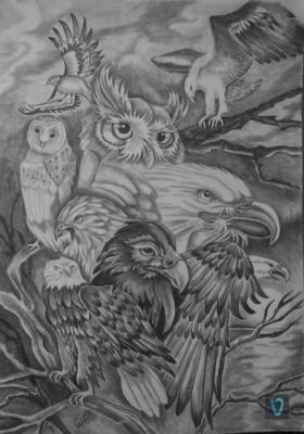 Owl-friends. Lambeva Valentina