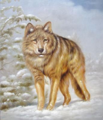 Wolf on the hunt. Kostyuk Igor