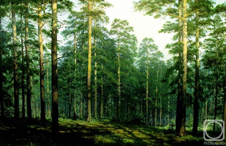 Fyodorov Vladymir. Ship-pine forest