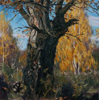 Old oak. Gorodnichev Andrei