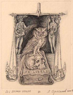 Owl and a skull. Stroganov Leonid