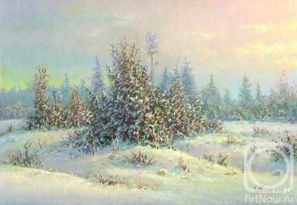 Panin Sergey. Breath of winter