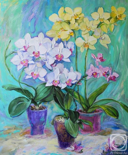 Simonova Olga. My favourite orchids