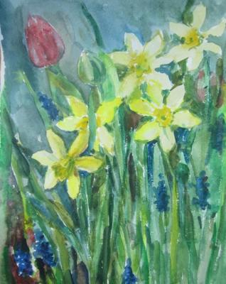 Daffodils and tulips. Kruppa Natalia