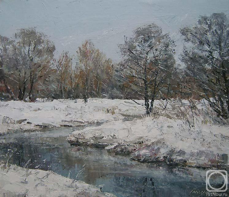 Gaiderov Michail. The beginning of winter. Snow fell