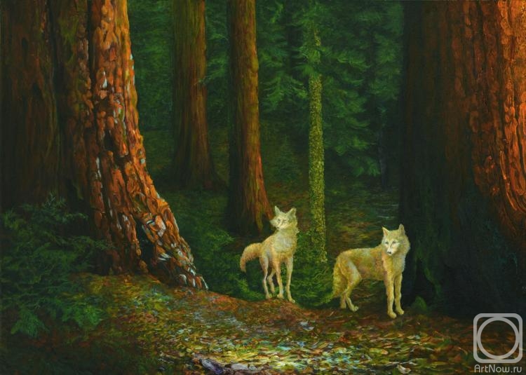 Dementiev Alexandr. Wolves' travel through the relict woods