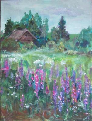 Lupine time-3 (Cold summer)