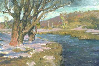 Chernov Denis Valerievich. Spring at the River Istra