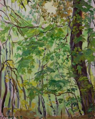 Painting May, Maples on the Edge of a Ravine. Dobrovolskaya Gayane
