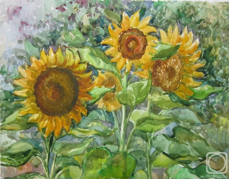 Kruppa Natalia. Sunflowers