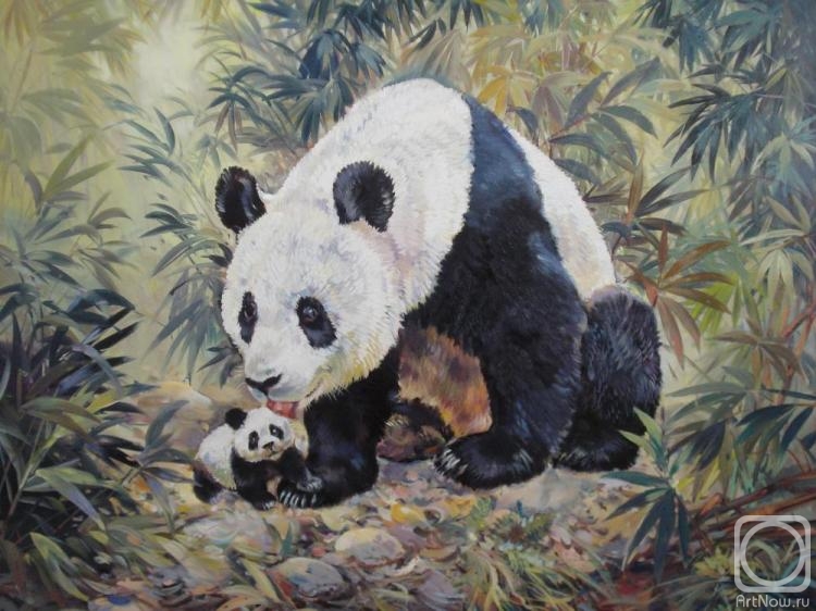 Bastrykin Viktor. Panda