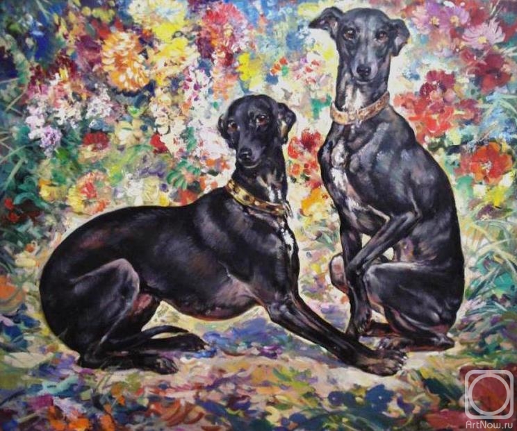 Bastrykin Viktor. Two Italian greyhounds
