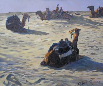Er 1318 :: Dromedaries (Arabian camels) in the Sahara (Tunisia, North Africa) (). Ershov Vladimir