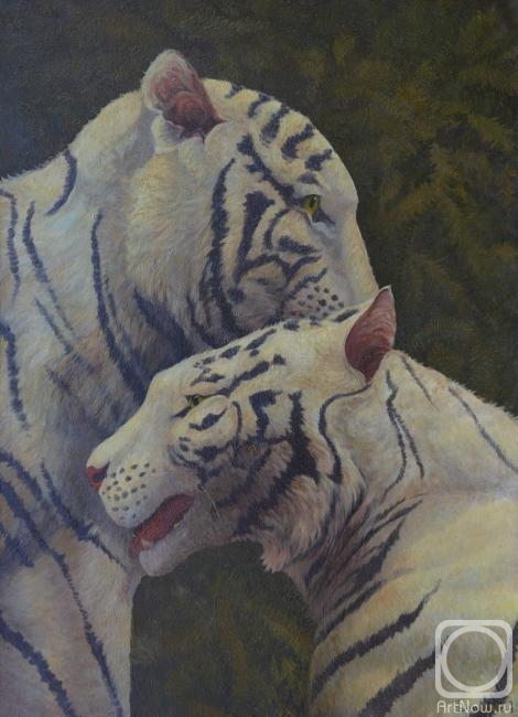 Dementiev Alexandr. White tigers: tenderness