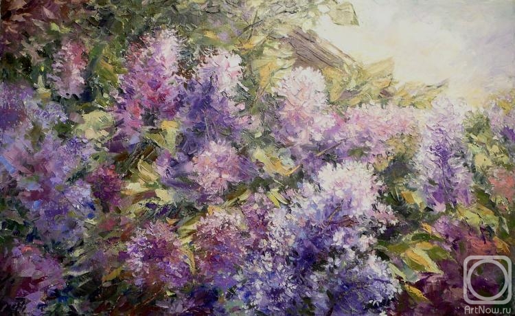 Stoylik liudmila. Lilacs