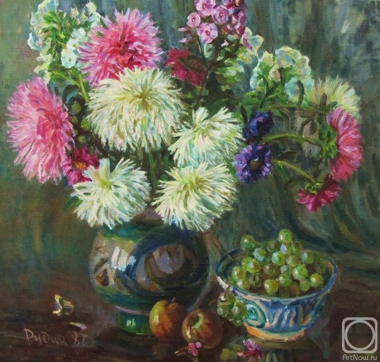 Rudin Petr. Asters