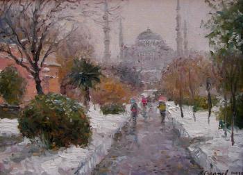 Winter Istanbul