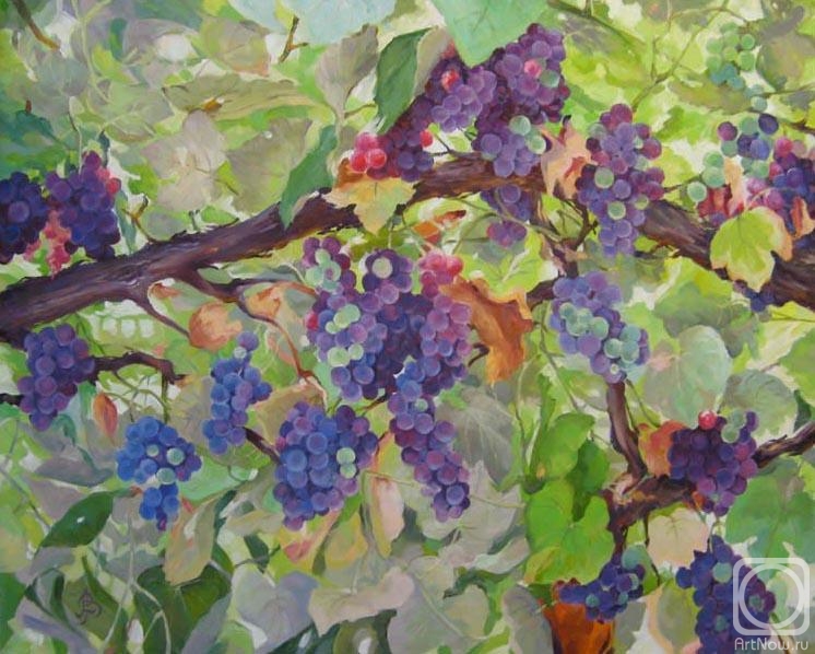 Vedeshina Zinaida. In the shadow of grapes