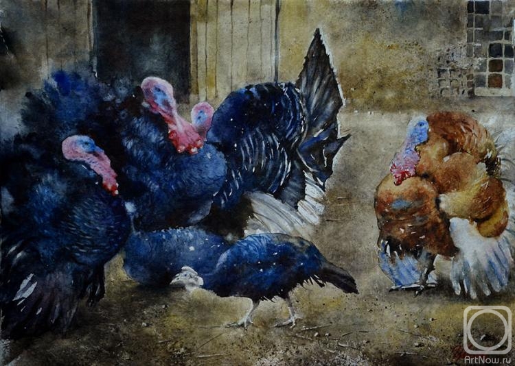 Ivanova Olga. The turkey-cocks