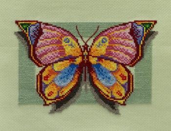 Butterfly. Khrapkova Svetlana