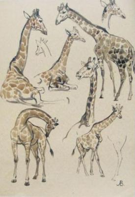 Giraffe (sketch). Lapovok Vladimir