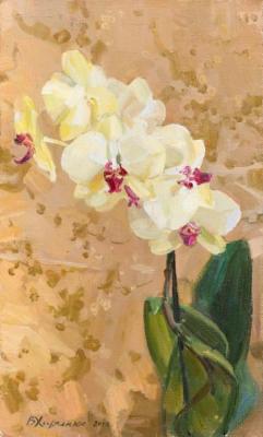 Yellow orchid. Kharchenko Victoria
