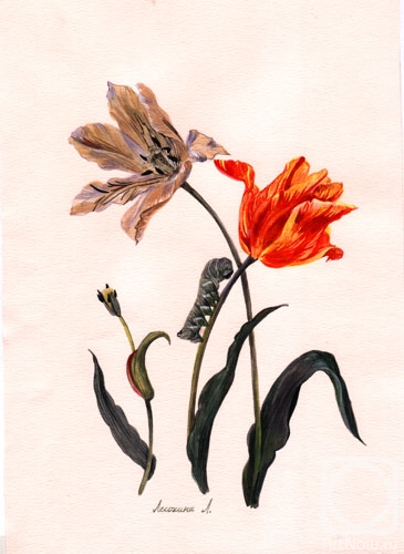 Lesokhina Lubov. Flowers and caterpillar