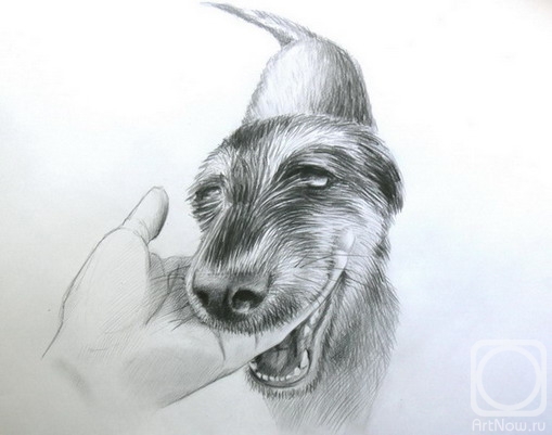 Lipacheva Maria. Game