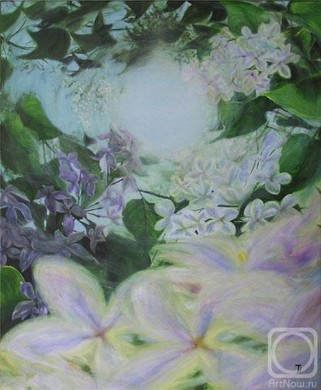 Terletskaya Nina. the lilac blossoms