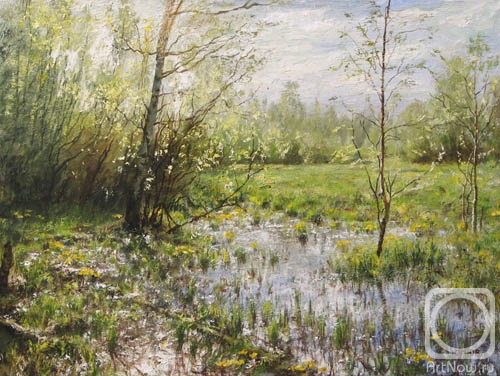 ������� ������ �� ������. �������� ����. ����� ���� �����