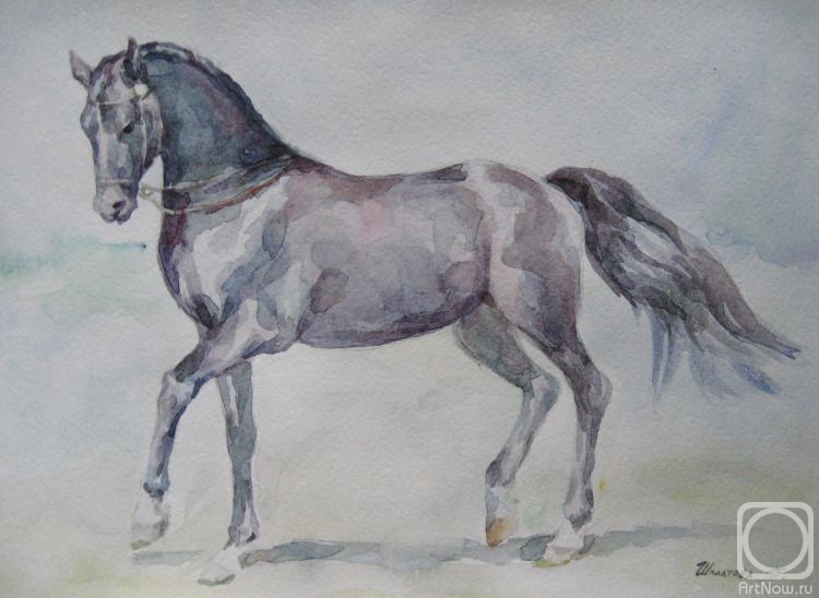 �������. �������� �������. �������