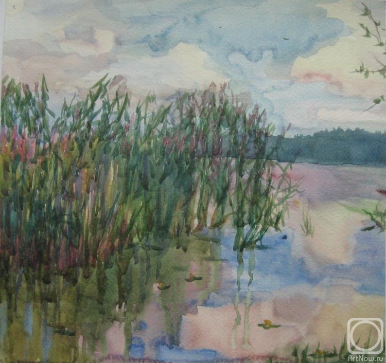 �������. �������� �������. �����