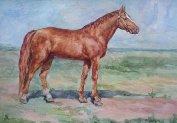 ������� �������� ��������