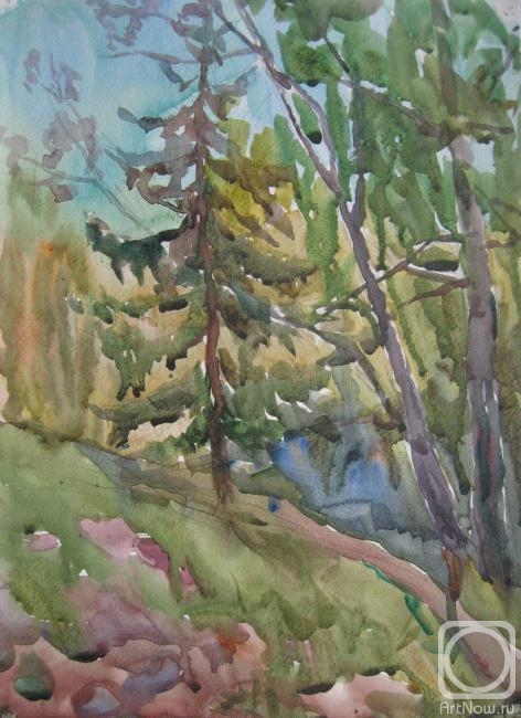 �������. �������� �������. � ����