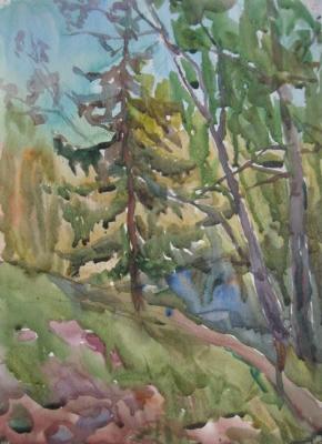 ������� �� ����