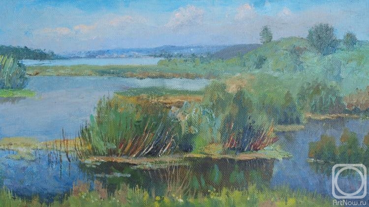 Chernyy Alexandr. Lakes
