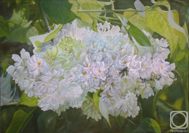 Kudryashov Galina. White Lilac